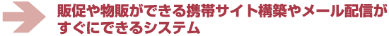 �̑��╨�̂��ł���g�уT�C�g�\�z�⃁�[���z�M�������ɂł���V�X�e�� 